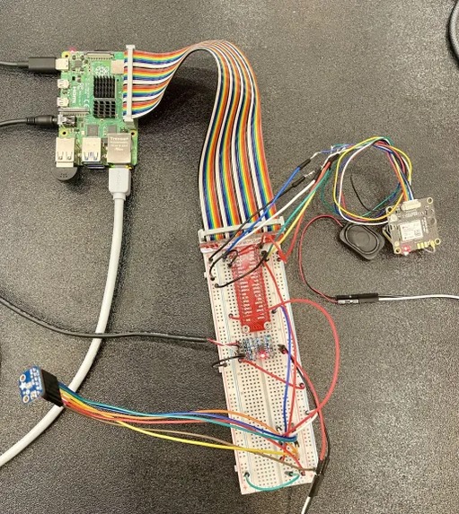 Talking Terry – screenshot 4