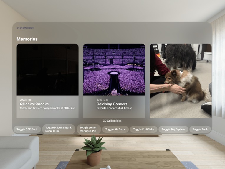 EyeRemember – screenshot 1