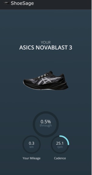 ShoeSage – screenshot 2