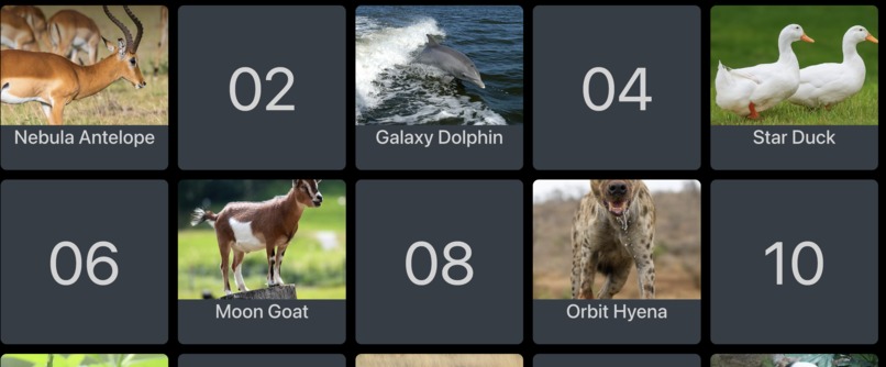 SpacePals – screenshot 6