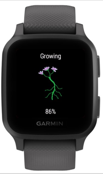 Super Crop – screenshot 3