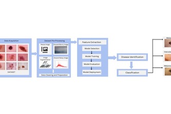 Skin Disease Detection