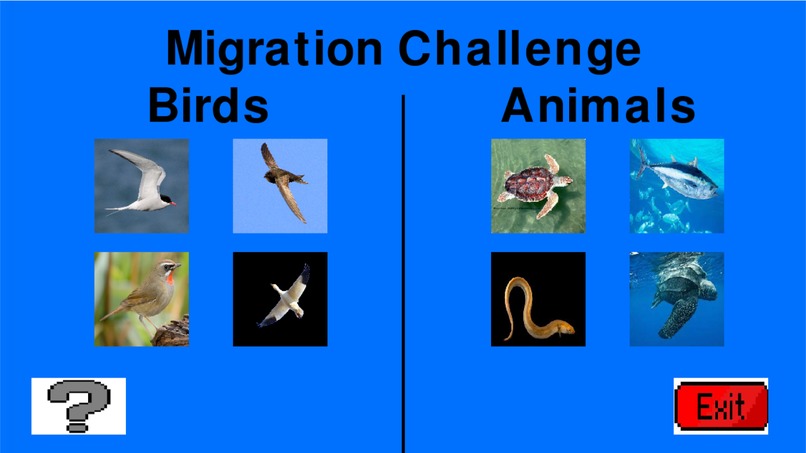 The Migration Challenge – screenshot 1