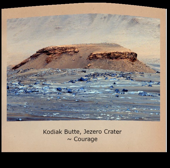 Courage The Not-so Cowardly Rover – screenshot 8