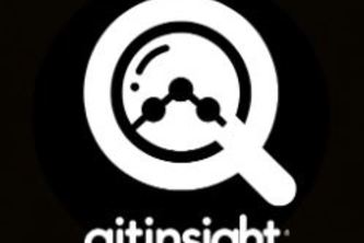 GitInsight