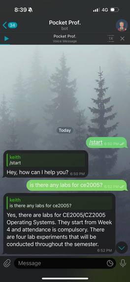 Team 7_1A_Pocket Prof. – screenshot 3