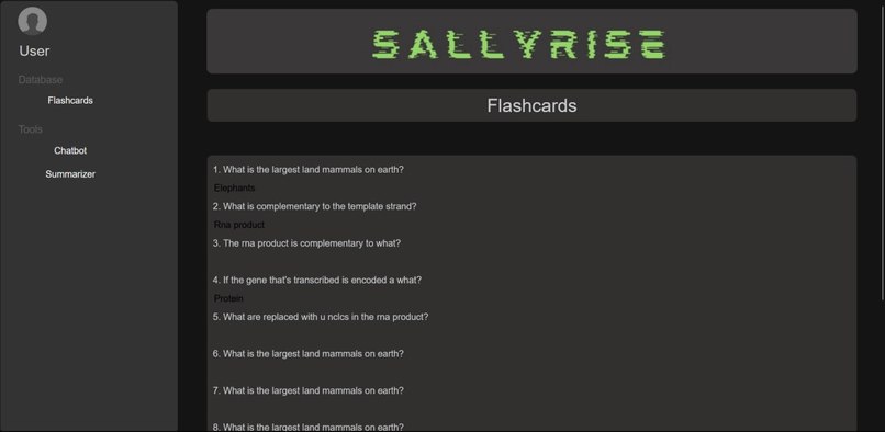 Team67_SallyRise – screenshot 3