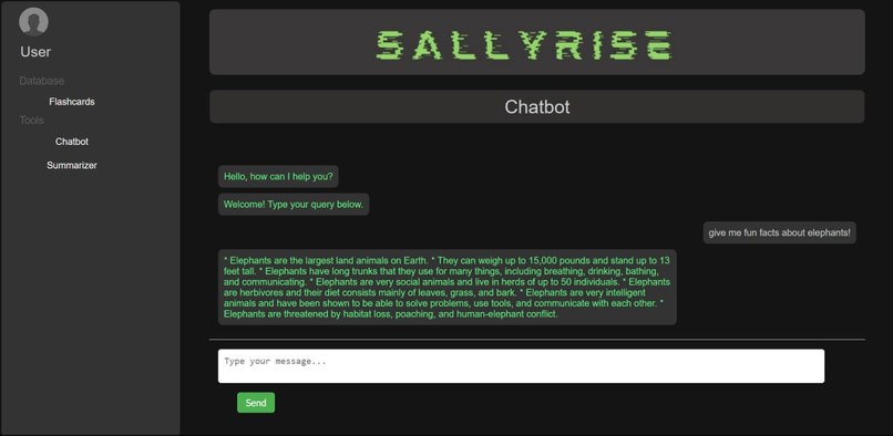 Team67_SallyRise – screenshot 5