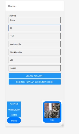 Cat motivation banking – screenshot 3