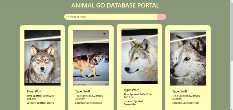 Animal GO – screenshot 2