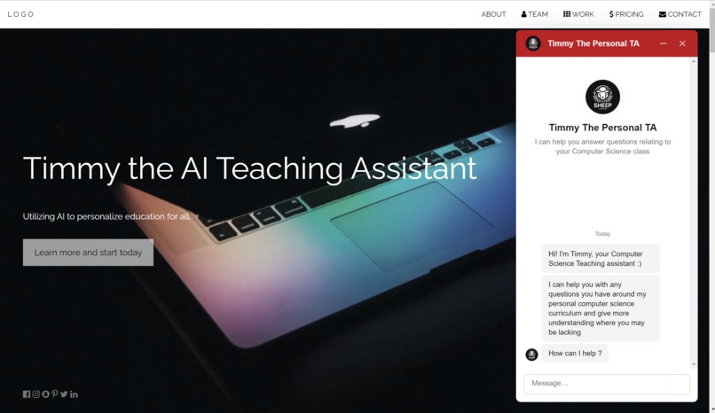 Timmy the AI Teaching Assistant – screenshot 8