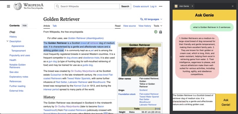 AskGenie – screenshot 1