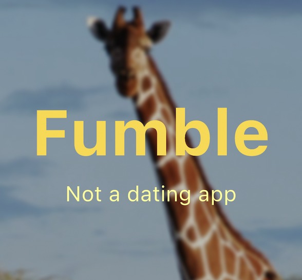 Fumble – screenshot 1