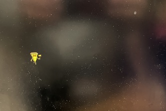 Food Fighters Gone Animated