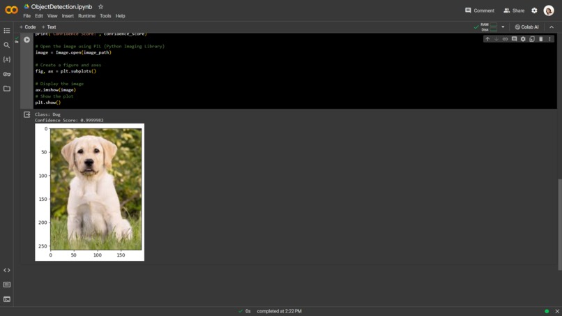 Animal Detection – screenshot 2
