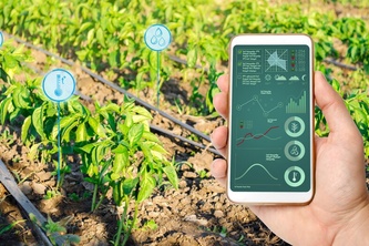 Smart irrigation system 