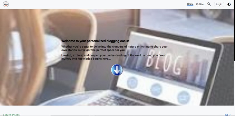 Blogging Website - rabbi blog – screenshot 2
