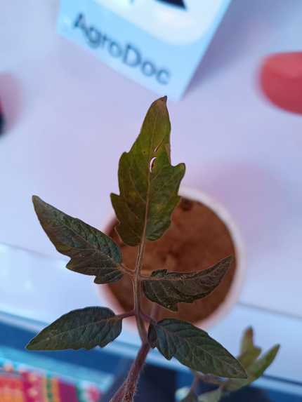 AgroDoc – screenshot 3