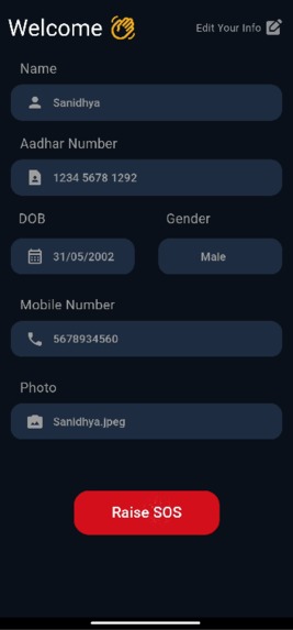 ADSS - Advanced Drone Surveillance System – screenshot 3