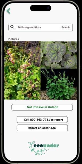 ecovader – screenshot 6