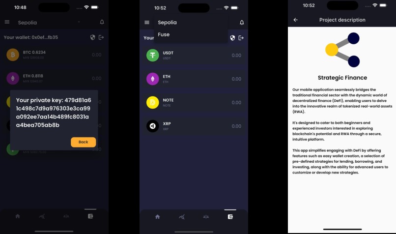 Strategic Finance – screenshot 2
