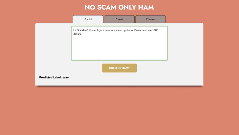 No Scam, Only Ham – screenshot 1