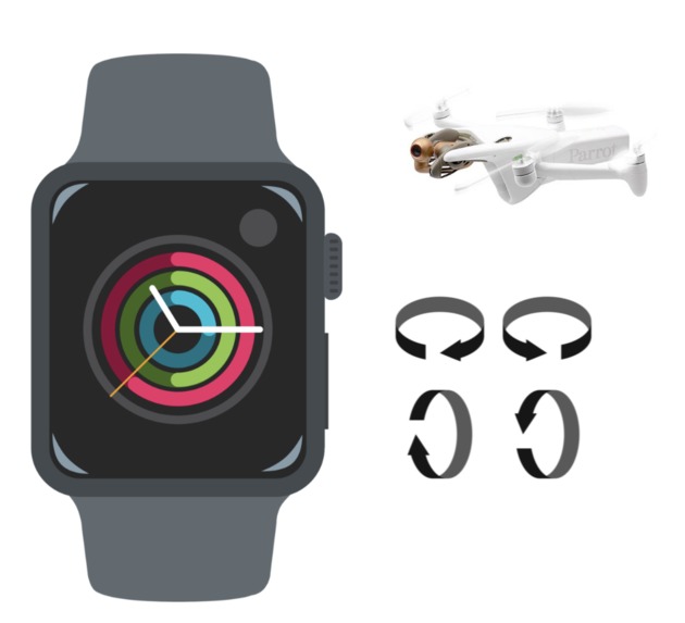 Parrot on your Hand – screenshot 1
