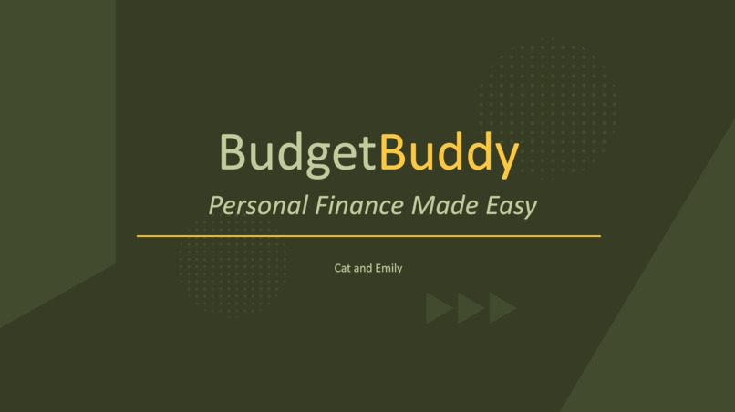 BudgetBuddy – screenshot 2