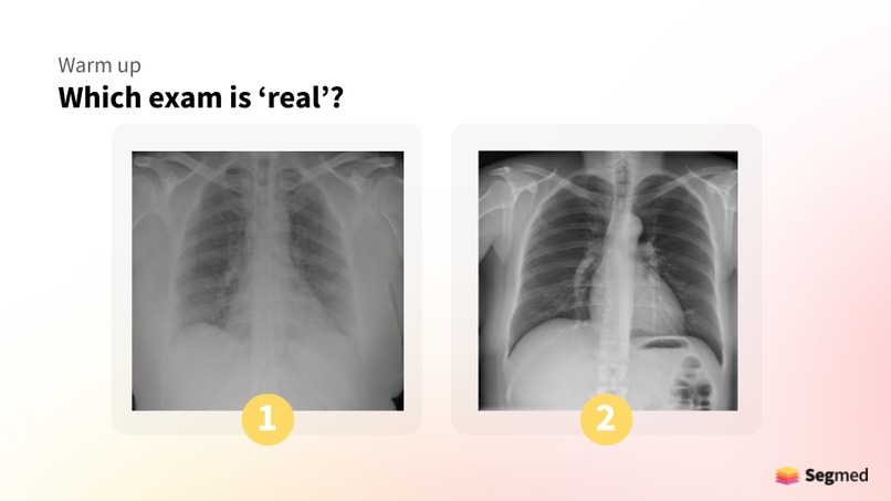 This X-Ray Does Not Exist – screenshot 1