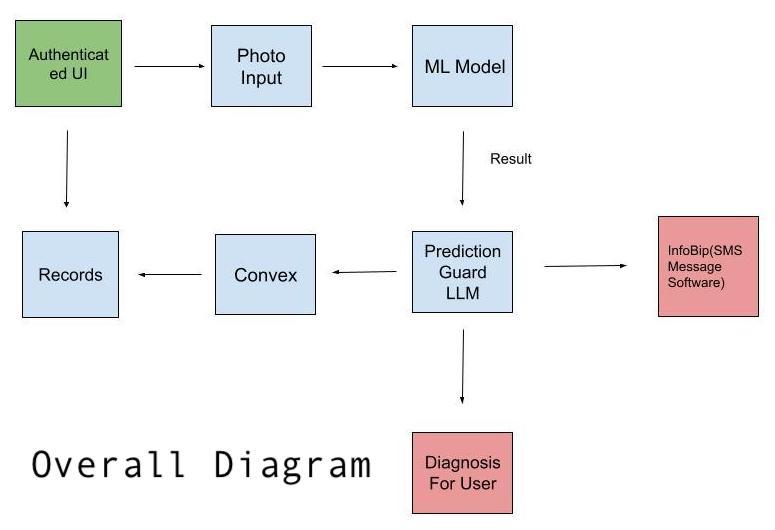 DermaDetect – screenshot 2