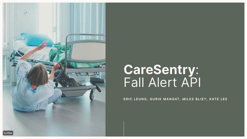 CareSentry: Fall Detection/Alert API – screenshot 1
