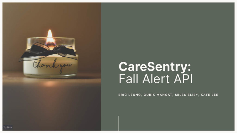CareSentry: Fall Detection/Alert API – screenshot 11