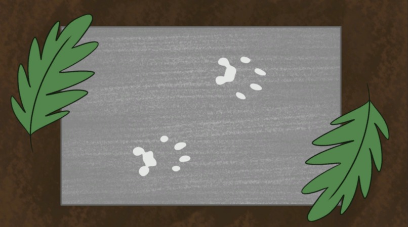 California Wildlife Adventure – screenshot 5