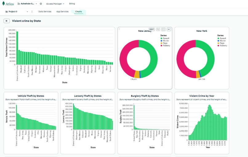 Crime Activity Report – screenshot 1