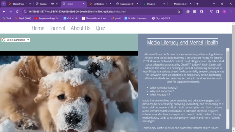 AI Literacy – screenshot 1