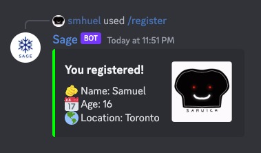 SAGE – screenshot 8