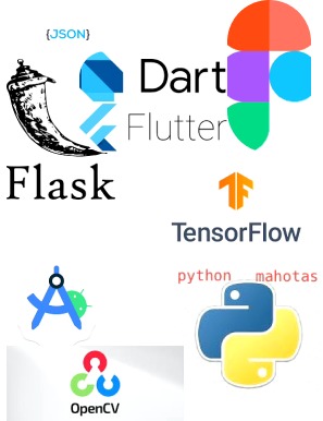 Food Critic-Texture Classification – screenshot 1