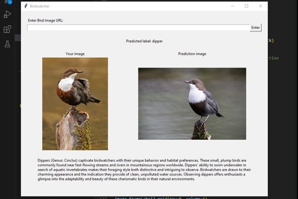 Birdwatcher – screenshot 1