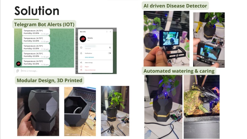 Evergreen by Reluvate – screenshot 1