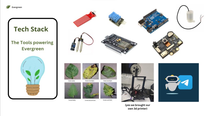 Evergreen by Reluvate – screenshot 2