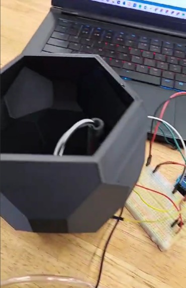 Evergreen by Reluvate – screenshot 3