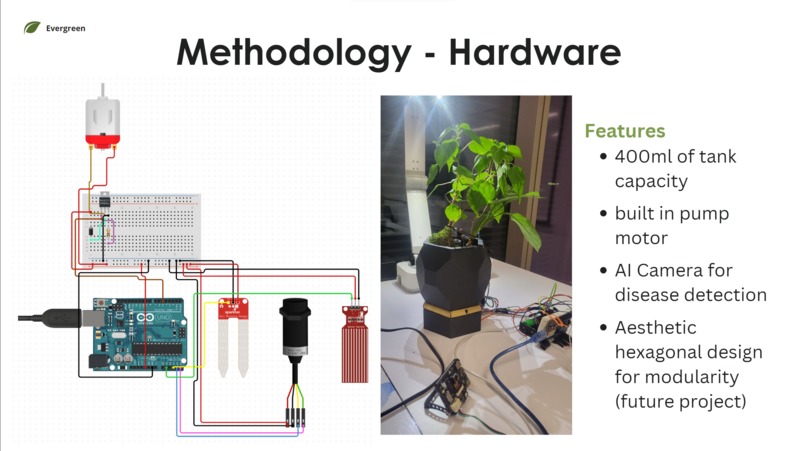 Evergreen by Reluvate – screenshot 4