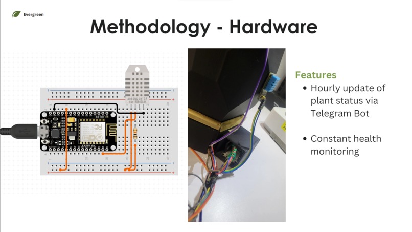 Evergreen by Reluvate – screenshot 5