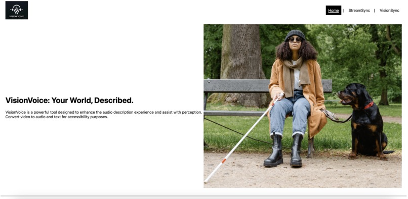 VisionVoice – screenshot 3