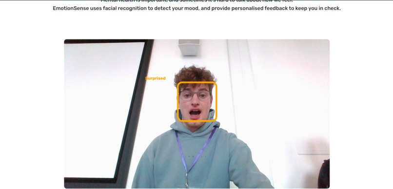 EmotionSense – screenshot 7