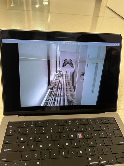 The Cornfield Debugger – screenshot 3
