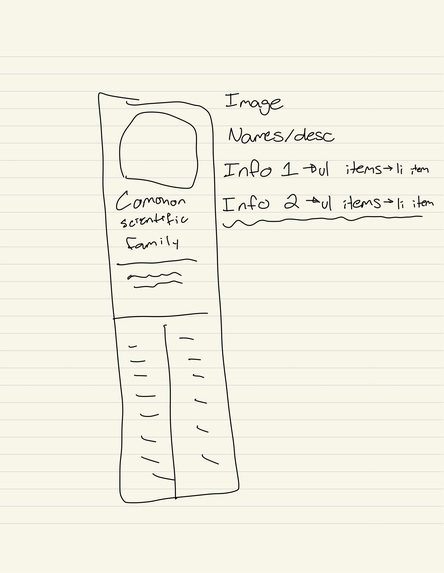 Bloom Buddy – screenshot 2