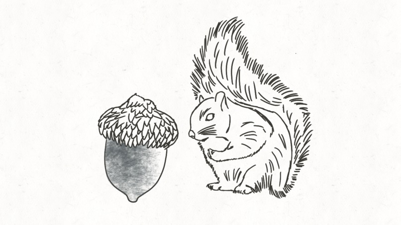 ExploreXP – screenshot 7