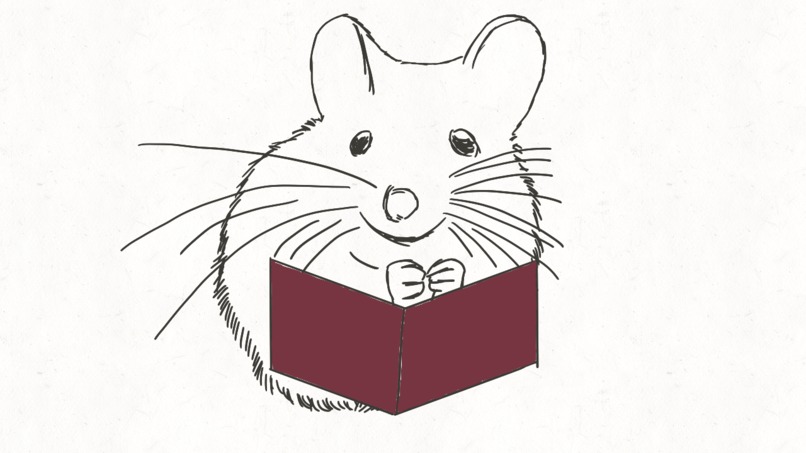 ExploreXP – screenshot 12