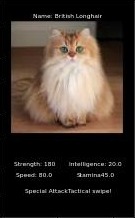 Feline Fury! – screenshot 5